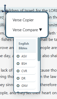 Verse context menu preview