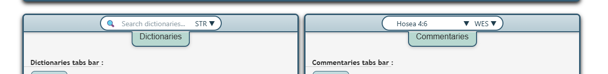 Dictionary and commentary panels preview